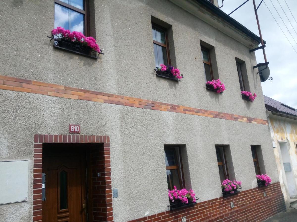 Apartman Albreit Jáchymov Dış mekan fotoğraf